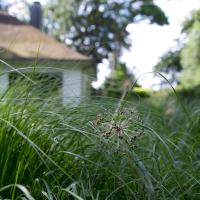 Grote landschapstuin in bosrijk gebied regio Brugge