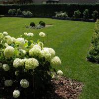 uw droomtuin - aanleg van uw tuin