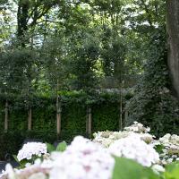 Grote landschapstuin in bosrijk gebied regio Brugge