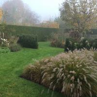 Ontwerp en aanleg landschapstuin te Heule