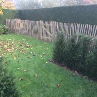 Ontwerp en aanleg landschapstuin te Heule