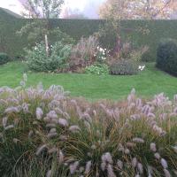 Ontwerp en aanleg landschapstuin te Heule