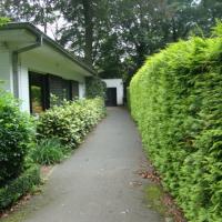 Grote landschapstuin in bosrijk gebied regio Brugge - situatie voor 