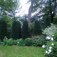 Grote landschapstuin in bosrijk gebied regio Brugge - situatie voor 